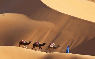 8 Day Tours from tangier to Sahara desert